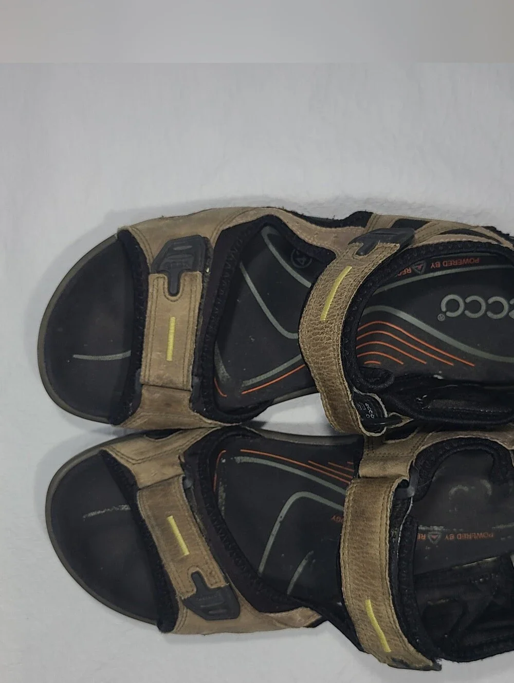 Ecco mens yucatan